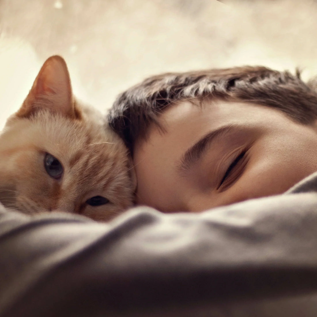 How We Preserve Fur Baby Memories: From Daily Joys to Timeless Tributes - ForeverPetMemo