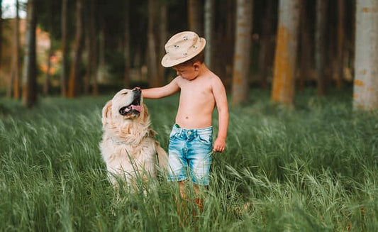 Pet Memorial Gifts for Kids: Comfort After Losing a Furry Friend - ForeverPetMemo