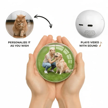 ForeverPetMemo Sphere