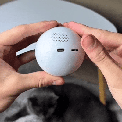 ForeverPetMemo Sphere™ ForeverPetMemo